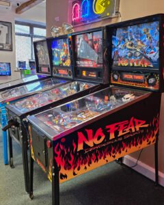 No Fear: Dangerous Sports Pinball Machine