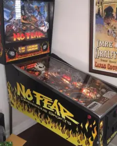 Williams No Fear: Dangerous Sports Pinball Machine by Williams pinball machine